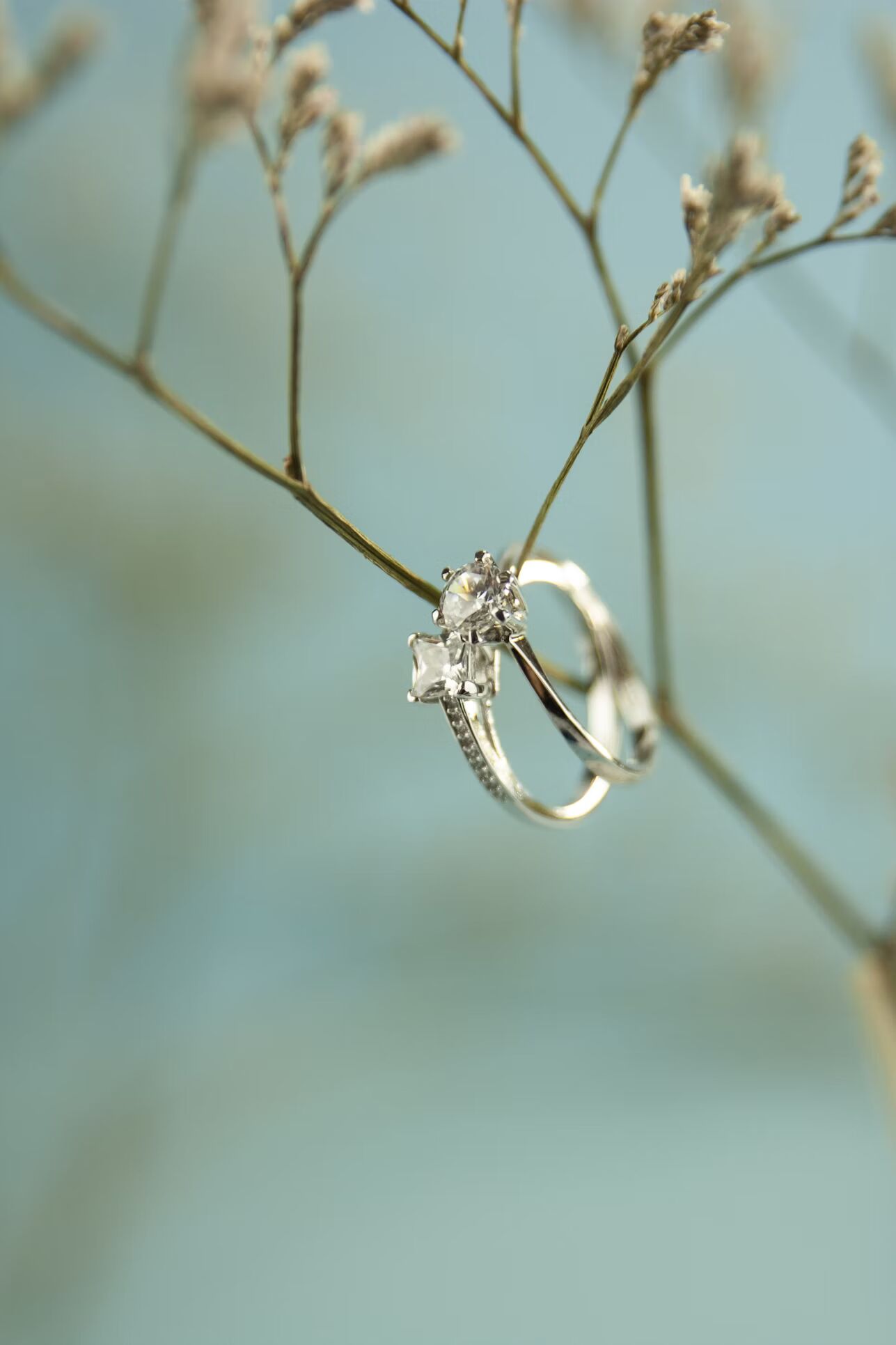 Instagram post image 5