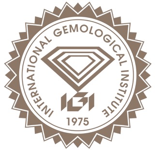 IGI Logo
